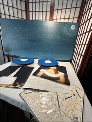 Laufey Bewitched the Goddess Edition 2024 Record Color Blue Vinyl Booklet R9