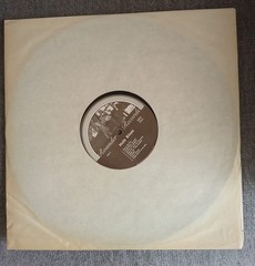 Hula Blues Vintage Steel Guitar Instrumentals Vinyl 1930s 1940s Double Records
