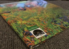 JHENE AIKO TRIP RSD 2026 RARE Picture Disc Vinyl SEALED & NEW