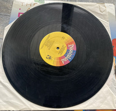 The Official Album Of Disneyland / Walt Disney World Vinyl