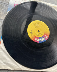 The Official Album Of Disneyland / Walt Disney World Vinyl