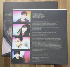 The Pains Of Being Pure At Heart: Belong 2011 1st pressing LP Indie, Dreampop