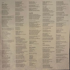 Regina Spektor – Remember Us To Life (2xLP, Album, Dlx, Ltd, RE, Cle) (Mint (M))