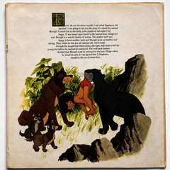 Walt Disney The Jungle Book Disneyland 3948 LP & Illustrated Book 1967