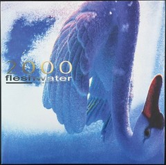 Fleshwater ‎- 2000: In Search Of Endless Sky LP – Colored Vinyl Album NEW RECORD