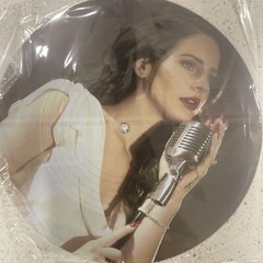 Lana Del Rey (4) LP Record Wall Art, Home Decor, Gift, Rare