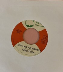 45 rpm KENNY KAREN – A NICE PLACE to LIVE / THAT’S WHY YOU REMEMBER 1973 Pop