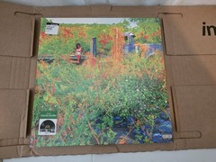 JHENE AIKO Trip SEALED limited edition 2LP Picture Disc RSD Ready to Ship!