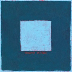 Pinegrove – Skylight
