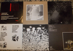 ALT PUNK LP Lot TINY KNIVES Drunk Dad KINSHIP Bad Future SLICES Angelic Upstarts