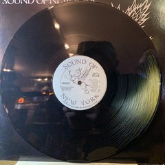 Indeep – The Record Keeps Spinning – Sound Of New York – SNY 5109 – 12” PROMO NM