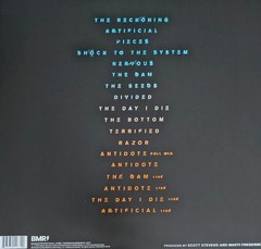 Daughtry – Shock To The System (2xLP) (Mint (M)) – 4215952188