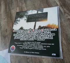 the Struggle Continues LINK 80 Record LP 2000, 2023 SKA PUNK HARDCORE Excellent