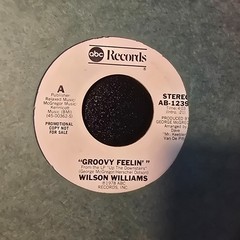 Wilson Williams – Groovy Feelin’ Promo Mono/Stereo Modern Soul Funk 45