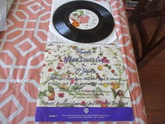 PRINCE-When Doves Cry-Strong VG to VG+(tested)-1984-Warner Bros 45
