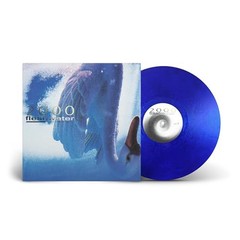 Fleshwater – 2000: In Search Of The Endless Sky [VINYL]