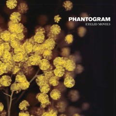 Phantogram – Eyelid Movies (Clear /Yellow Swirl VINYL) – SYNTH-POP *SEALED/COLOR