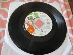 PRINCE-When Doves Cry-Strong VG to VG+(tested)-1984-Warner Bros 45
