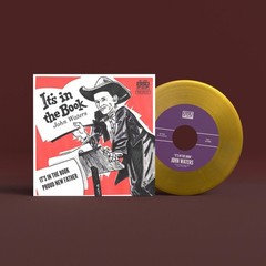 JOHN WATERS IT’S IN THE BOOK NEW 7 INCH VINYL DISC
