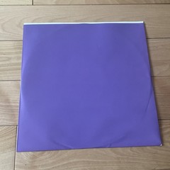 Look Blue Go Purple Vinyl LP Still Bewitched Flying Nun Records