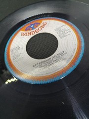 Rock, Pop, Country 45s (Lot Of 10) Cher, Brenda Lee , Aaron Tippin & More