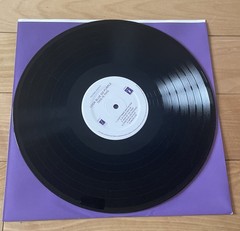 Look Blue Go Purple Vinyl LP Still Bewitched Flying Nun Records
