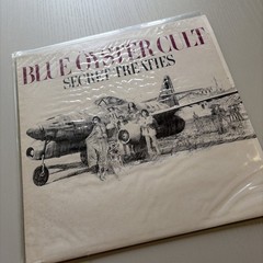 Blue Öyster Cult ‎– Secret Treaties – First Press S80103 – Textured Jacket NM/EX