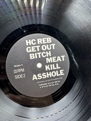 Pussy Galore- Groovy Hate – Vinyl LP Shove Records 1986