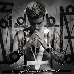 Justin Bieber – Purpose NEW Sealed Vinyl LP Album