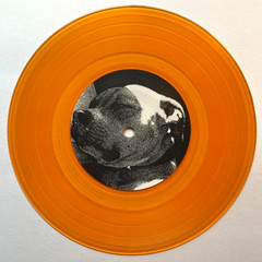 NEW POISON PLANET 2011 EP DEMO xxxx Gold 7″ & 2012 YOUNG TURKS Colored Vinyl LP