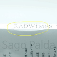 RADWIMPS Your Name OST LP Vinyl Black Kimi No Na Wa 君の名は 2016 NEW Condition