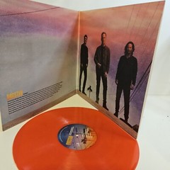 DOGSTAR SOMEWHERE BETWEEN THE POWER LINES AND PALM TREES LP
