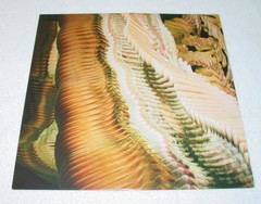 Feist Multitudes LP Polydor France 4848168 Czech Republic 2023 Excellent Disc