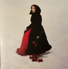 Regina Spektor – Remember Us To Life (2xLP, Album, Dlx, Ltd, RE, Cle) (Mint (M))