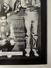 Los Tigres Del Norte – Gracias America Sin Fronteras (1 x LP, 1989 MX, EX)