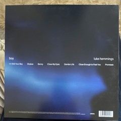 Boy by Luke Hemmings (LP, Vinyl Record, Arista, 2020s)