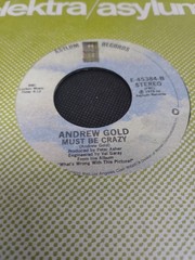 Rock, Pop, Country 45s (Lot Of 10) Cher, Brenda Lee , Aaron Tippin & More