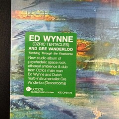 Ed Wynne Gre Vanderloo Tumbling Through The Floativerse Vinyl LP NM Ozric Tentac