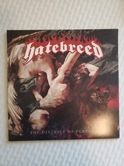Hatebreed The Divinity Of Purpose Vinyl VG+ 2013 Grey Swirl