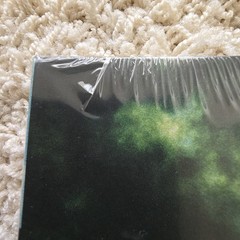 Armor For Sleep What To Do When You Are Dead Transparent Green Vinyl New /500