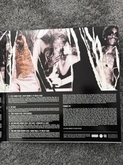 Wiz Khalifa – Blacc Hollywood (2xLP) (Mint (M)) – 4214600385