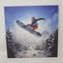 1080 Snowboarding Vinyl LP Record Nintendo 64 N64 White OST VGM Not Moonshake