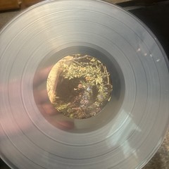Abysmal Thoughts by Drums (Record, 2017)