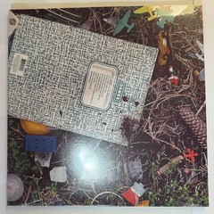 Dawes Good Luck with Whatever LP (2020 Hub, 180g Vinyl)