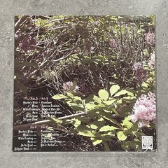 Nicole Dollanganger Natural Born Losers Deluxe Flower & Blood Vinyl 2LP Sealed