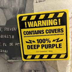 *NEW SEALED-Deep Purple – Turning To Crime 180g 2LP