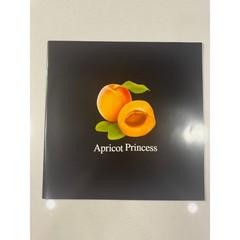 Rex Orange County Vinyl Record 12″ Orange Excellent Apricot Princess LP