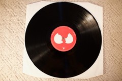 Adrian Sherwood, “Never Trust A Hippy,” 2003 EU Double Vinyl, Ultrasonic, MINT!
