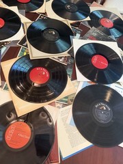 Lot Of 20 Vintage Vinyl Collection Various RCA Living Stereo & Red Seal Desc