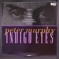 PETER MURPHY: indigo eyes BEGGARS BANQUET 12″ Single 33 RPM United Kingdom